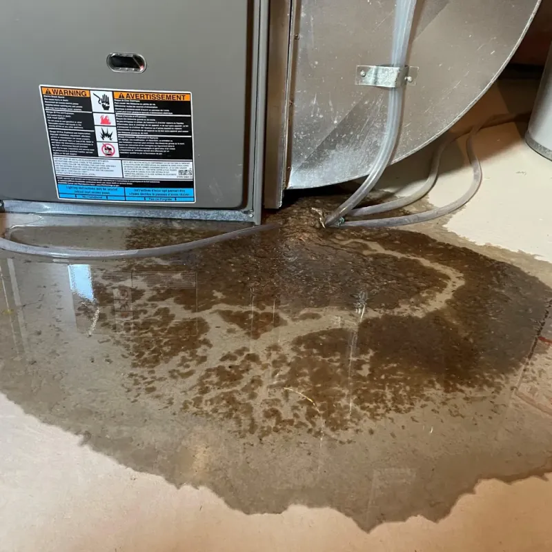 Appliance Leak Cleanup in Santa Monica, CA