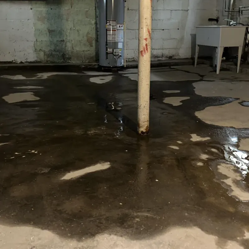 Emergency Water Extraction And Removal in Santa Monica, CA